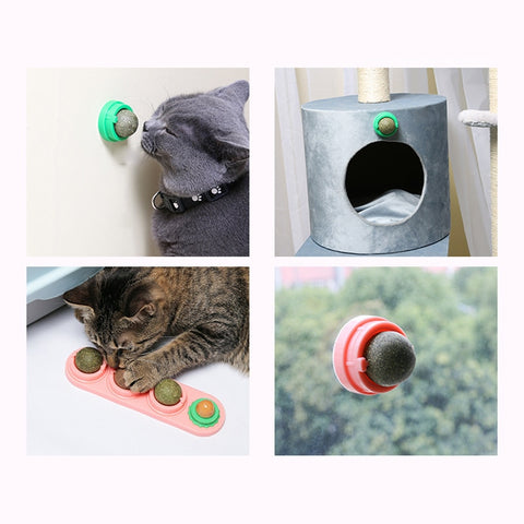 Cat Catnip Ball Toy