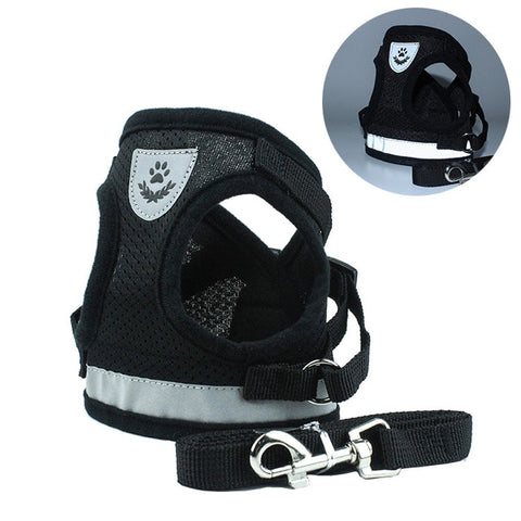 Dog Walking Harness with Leash