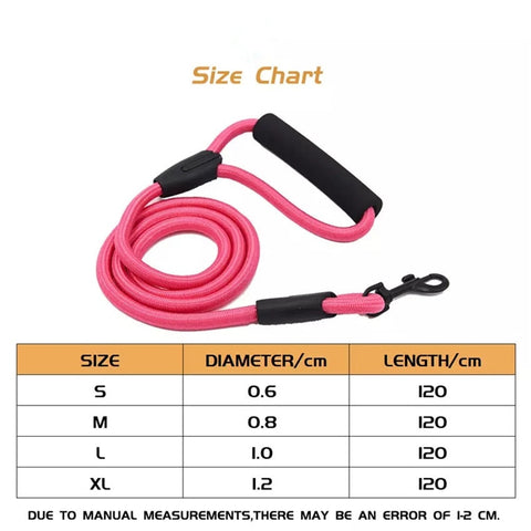 Pets Dog running leash