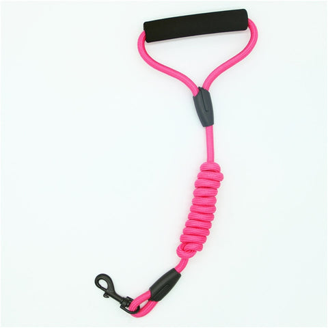 Pets Dog running leash