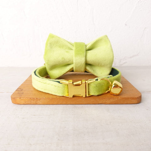 Cat Bowtie Choker Collar