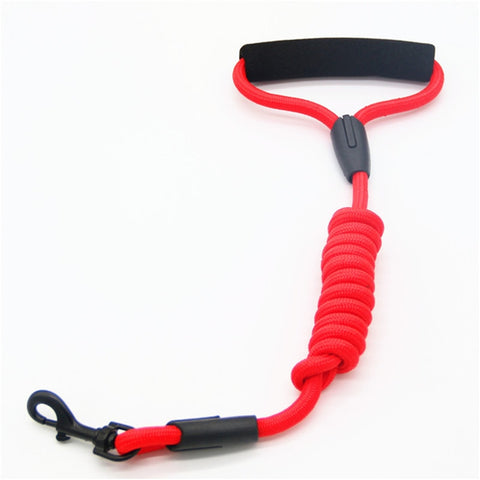 Pets Dog running leash