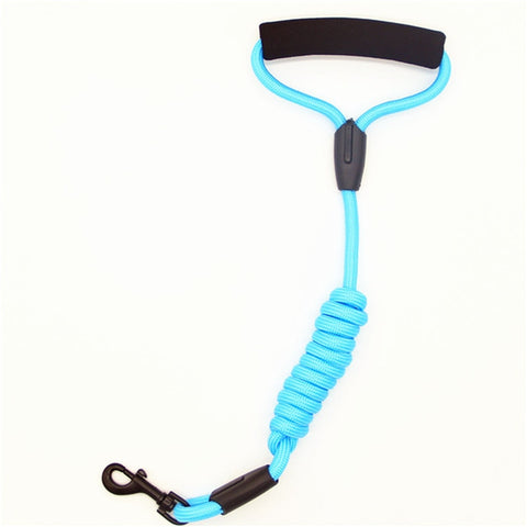 Pets Dog running leash