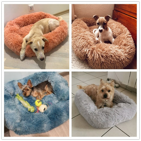 Long Plush Square Dog Beds