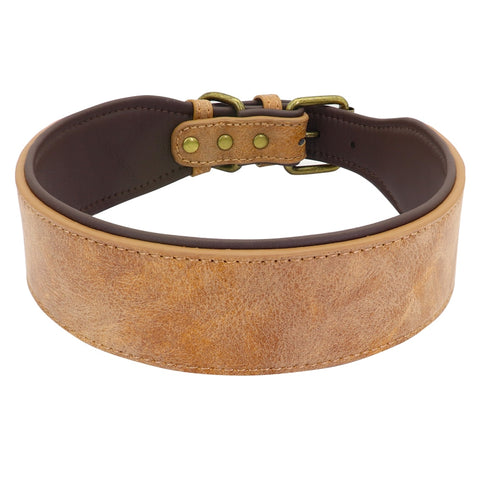 Dog Wide Leather Padded Collar