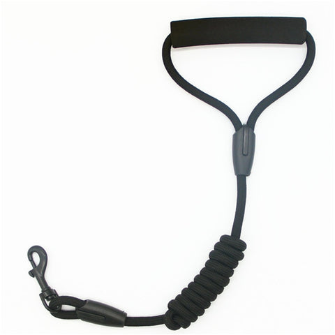 Pets Dog running leash