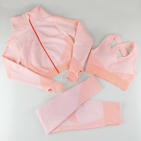 Women Seamless Sports Gym Suits