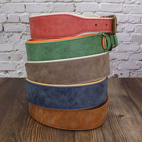 Dog Wide Leather Padded Collar