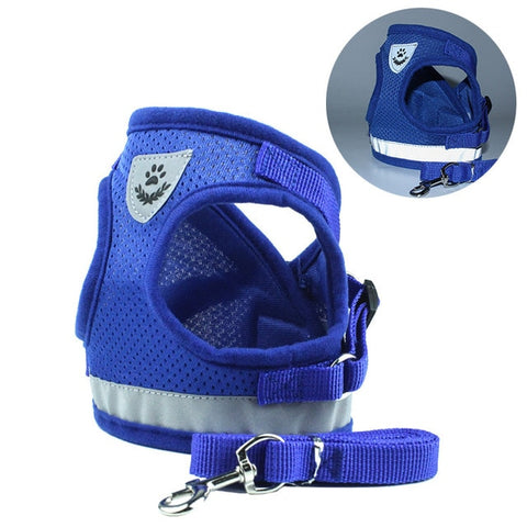 Dog Walking Harness with Leash