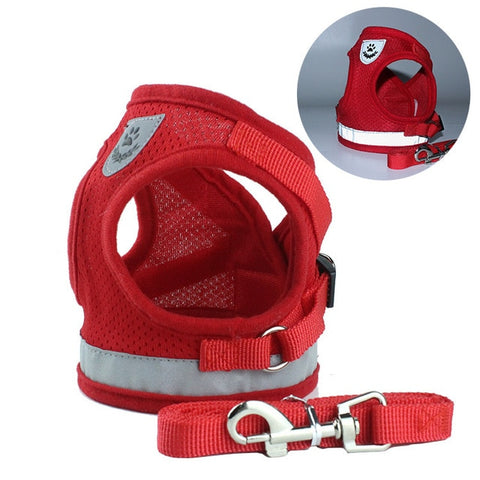 Dog Walking Harness with Leash