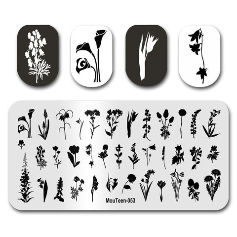 New Nail Plates Stamp King Manicure Set