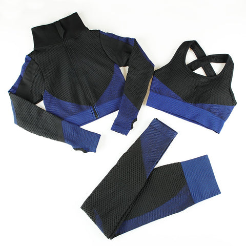 Women Seamless Sports Gym Suits