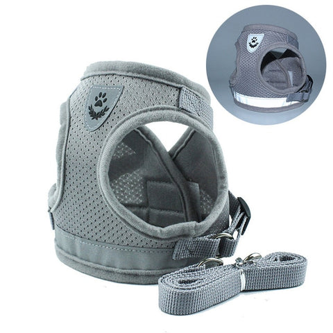 Dog Walking Harness with Leash