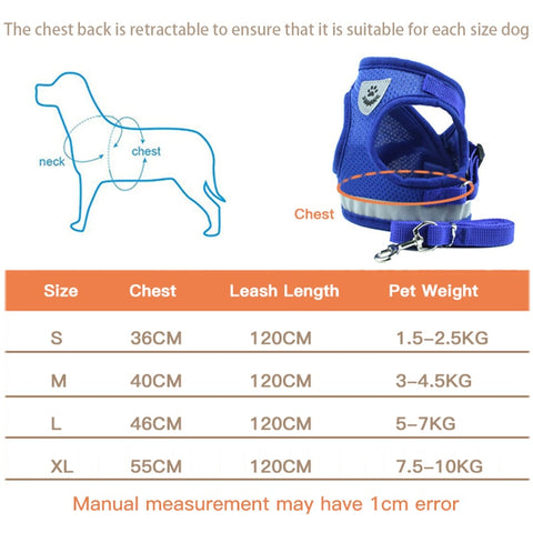 Dog Walking Harness with Leash