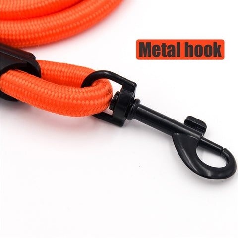 Pets Dog running leash