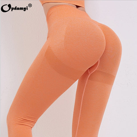 Women Seamless Yoga Sports Suits