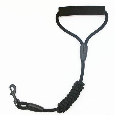 Pets Dog running leash