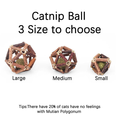 Cat Interactive Wooden Teeth Cleaning Catnip Ball Toy