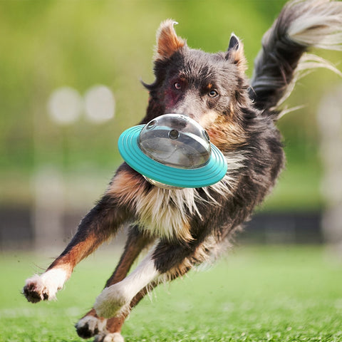 Dog Fun Flying Saucer Food Dispensing Toy