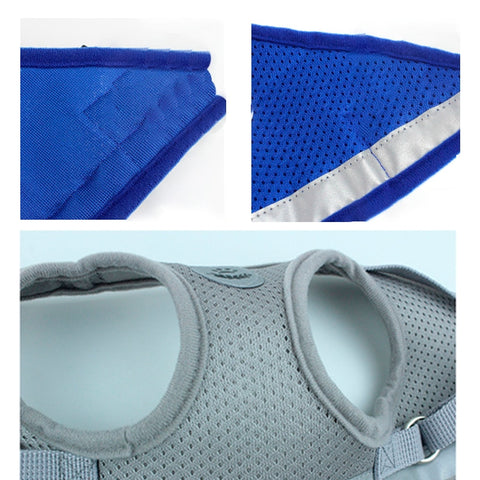 Dog Walking Harness with Leash