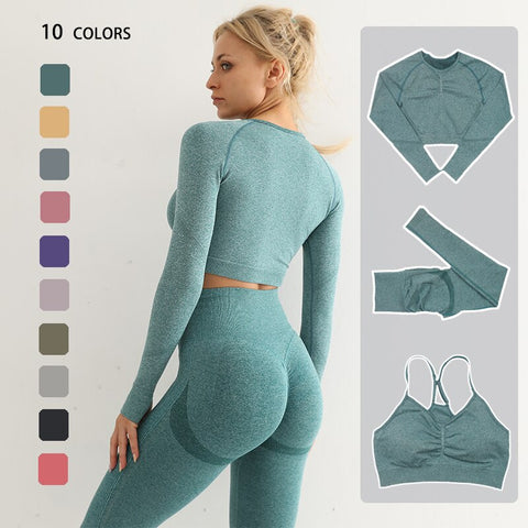 Women Seamless Yoga Fitness Workout Clothes
