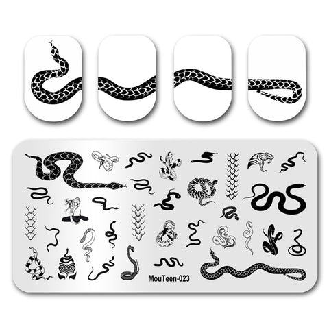 New Nail Plates Stamp King Manicure Set