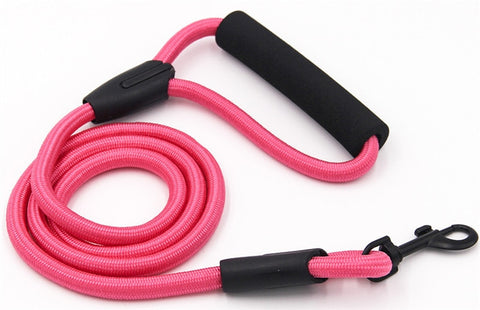 Pets Dog running leash