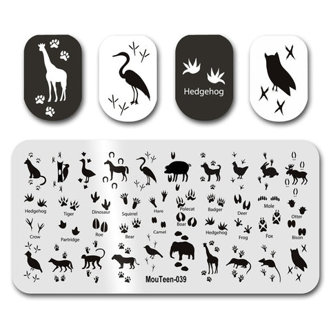 New Nail Plates Stamp King Manicure Set