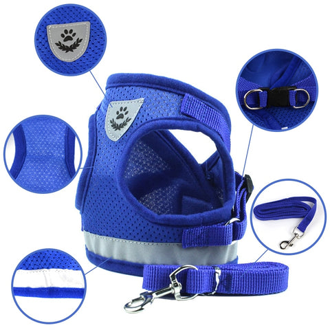 Dog Walking Harness with Leash