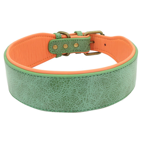 Dog Wide Leather Padded Collar