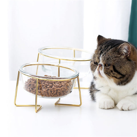 Cat Non-Slip Glass Bowl