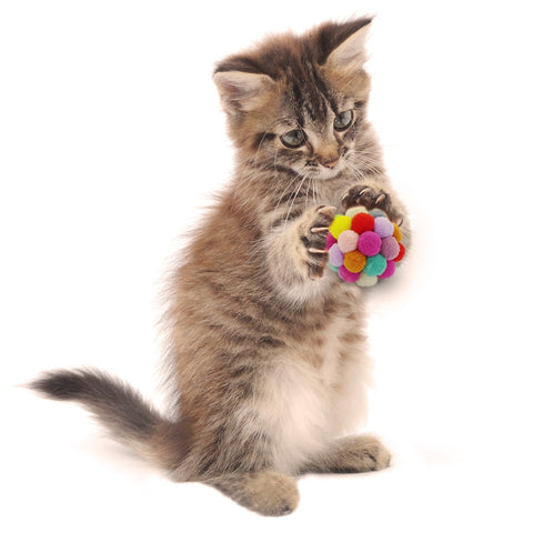 Cat Interactive Bouncy Ball Toy