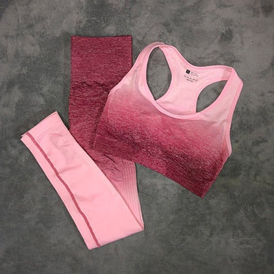 Women Yoga Set Gym Clothing