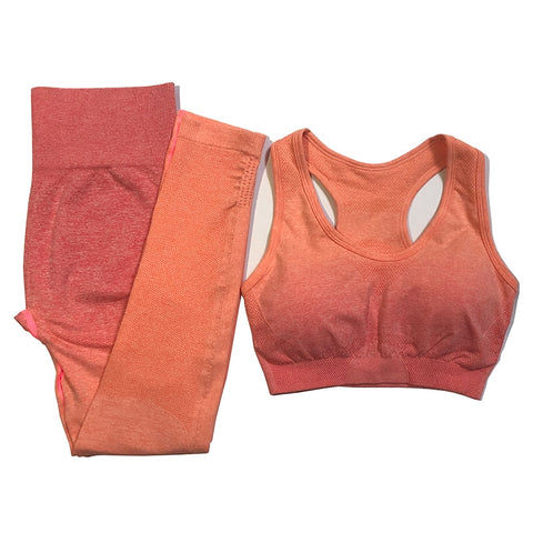 Women Yoga Set Gym Clothing