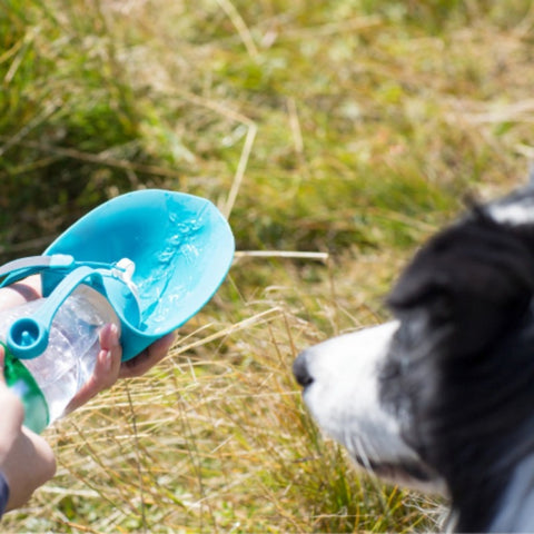 Pet Portable Silicone Travel Water Bottle