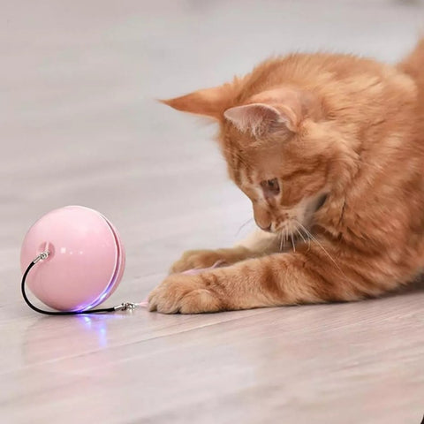 PET LED Self Rotating Ball Toy