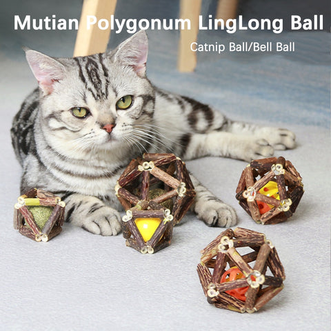 Cat Interactive Wooden Teeth Cleaning Catnip Ball Toy