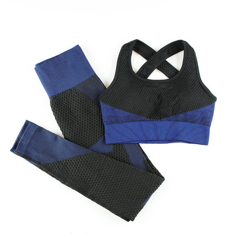 Women Seamless Sports Gym Suits