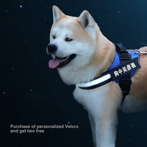 Nylon Heavy Duty Dog Harness Vest