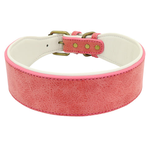 Dog Wide Leather Padded Collar