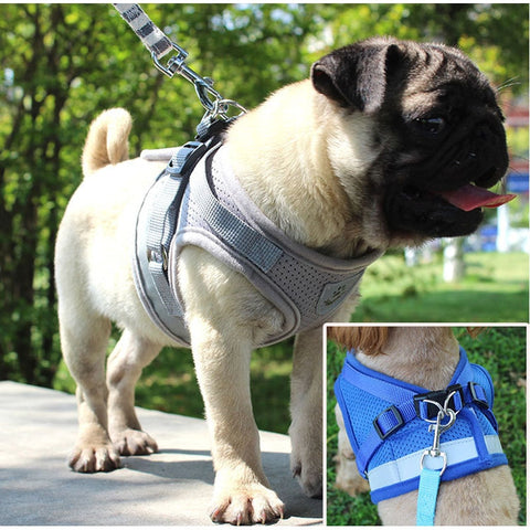 Dog Walking Harness with Leash