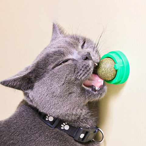 Cat Catnip Ball Toy