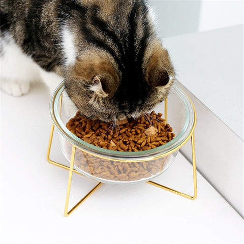 Cat Non-Slip Glass Bowl