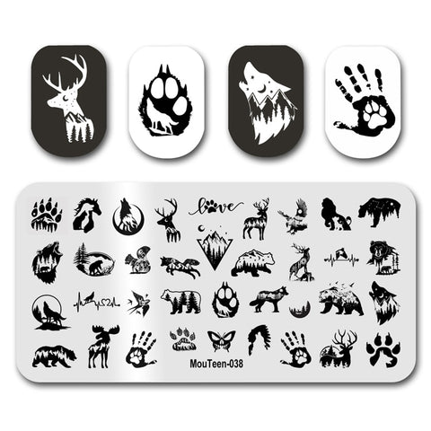 New Nail Plates Stamp King Manicure Set