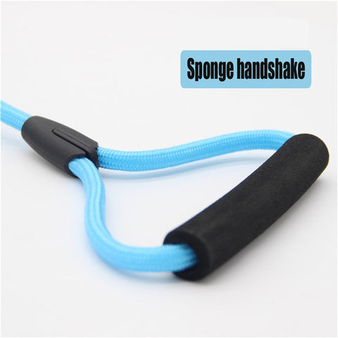 Pets Dog running leash