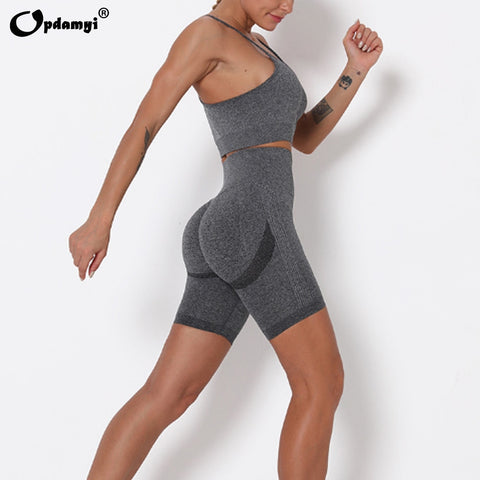 Women Seamless Yoga Sports Suits