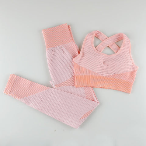 Women Seamless Sports Gym Suits