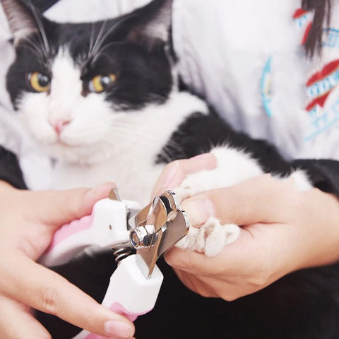 Professional Pet Dog Nail Clipper