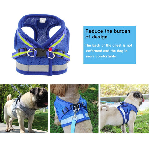 Dog Walking Harness with Leash