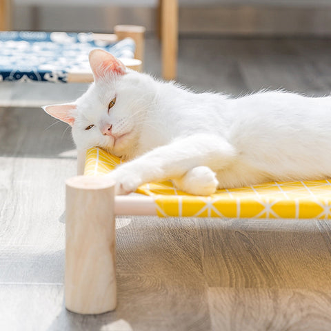 Wood Canvas Cat Lounge Bed